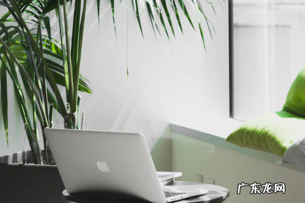 淘特养小鸡兑换货品招商要求是什么?招商规则介绍