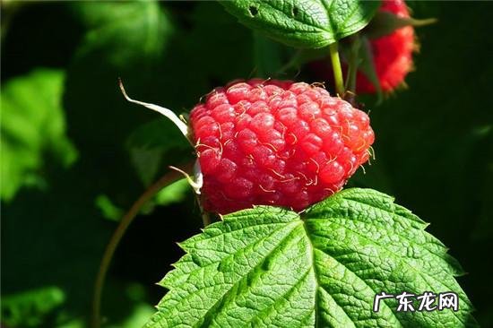 瘦到90斤的减肥方法 减肥怎么从100瘦到90斤