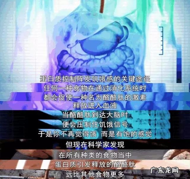 如何合理且快速的减肥 如何快速而又健康的减肥