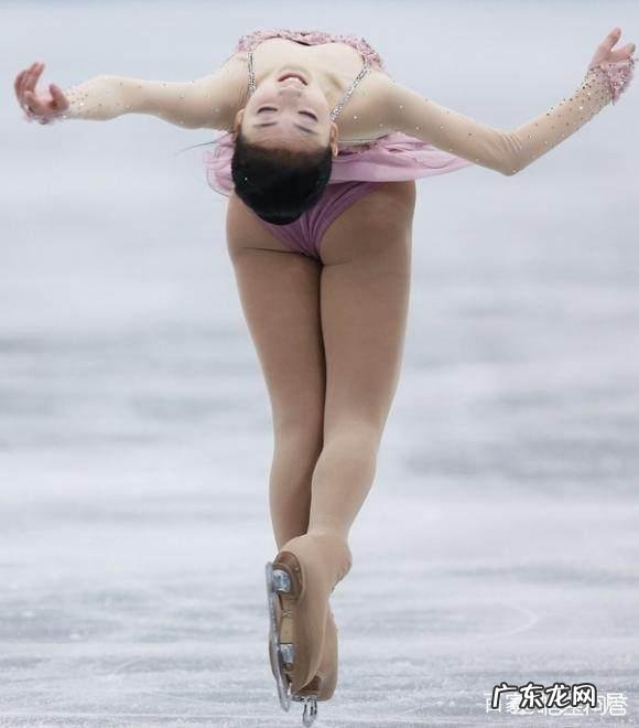 李子君、傅园慧、惠若琪,谁的粉丝更多?