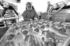 如何做到有效科学减肥 如何减肥更科学有效