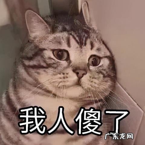 减肥的本质就是越减越肥 减肥到底有多难越减越肥的真相