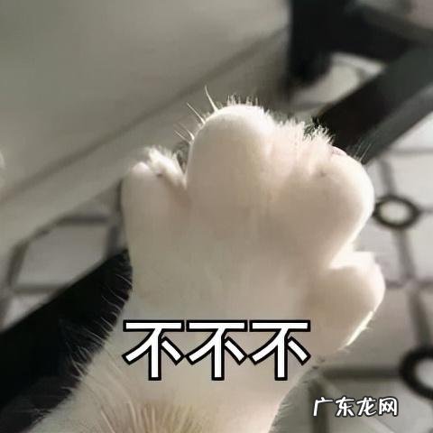 减肥的本质就是越减越肥 减肥到底有多难越减越肥的真相