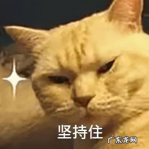 减肥的本质就是越减越肥 减肥到底有多难越减越肥的真相