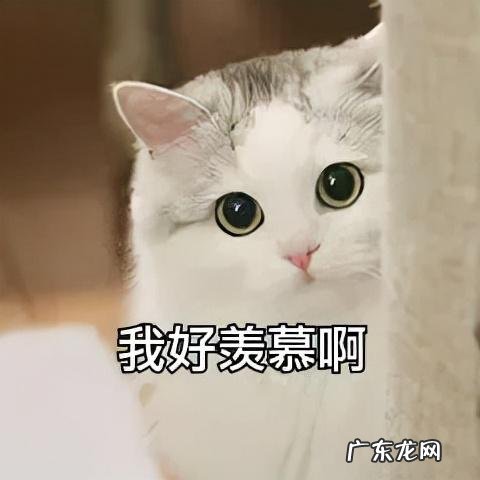 减肥的本质就是越减越肥 减肥到底有多难越减越肥的真相