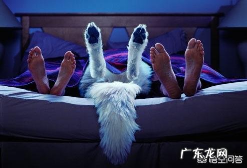 褪黑素保健品真能zhi失眠吗?