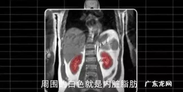 一个月就能见效的减肥方法 简单有效的减肥方法3天就见效