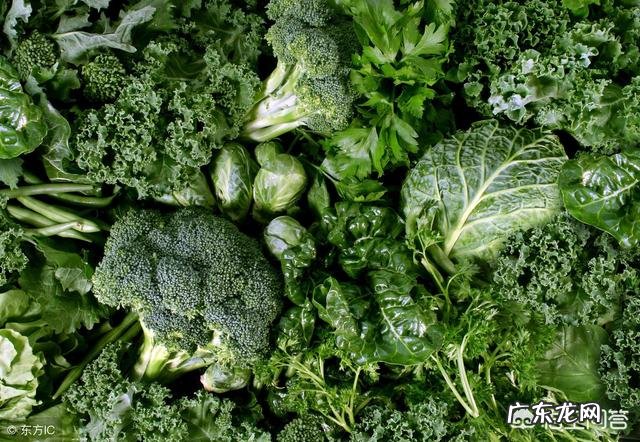 有哪些食物可以润肠通便,调理肠胃,有助于减少便秘的发生?