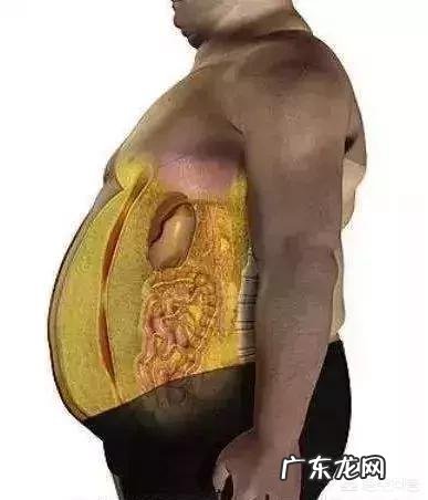 经常挨饿会有利于身体健康吗?