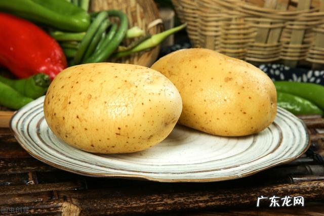 懒人公认的最有效减肥方法 最快最有效的懒人减肥方法图解