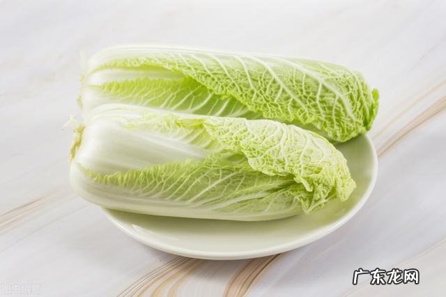 女生减肥最快燃脂方法 最简单的减肥方法快速燃脂