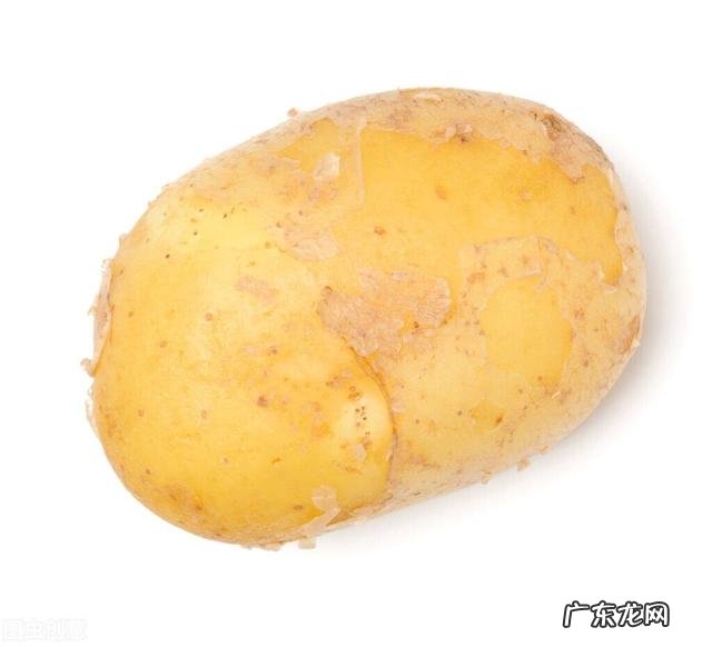 减肥瘦身食物排行 瘦身减脂的食物有哪些