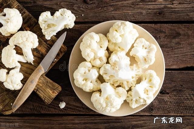 减肥瘦身食物排行 瘦身减脂的食物有哪些