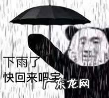 减肥失败越减越肥系列 减过一次肥失败了再减肥变难了