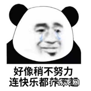 减肥失败越减越肥系列 减过一次肥失败了再减肥变难了