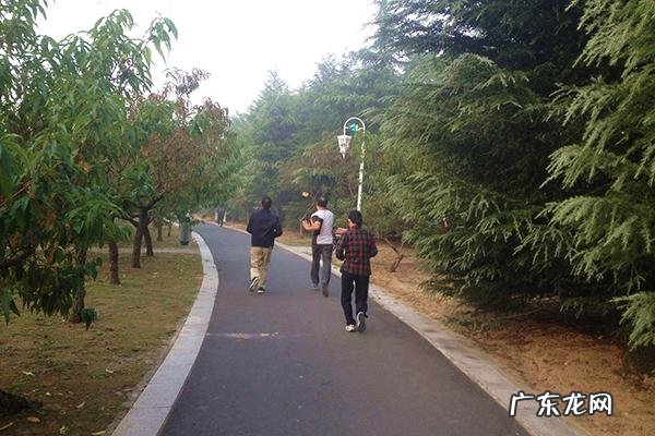 真正的减肥专家讲怎么减肥 减肥专家不会告诉你的减肥方法