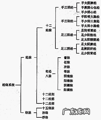 经脉气血如何运行?为什么会出现气血逆行?气血逆行该怎么办?