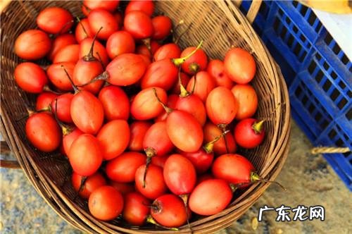 有什么素菜做出来比肉还好吃,而且还百吃不腻?