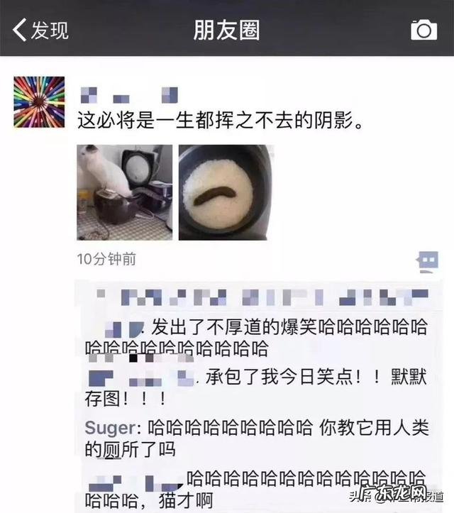 请大家说说对中医的看法?