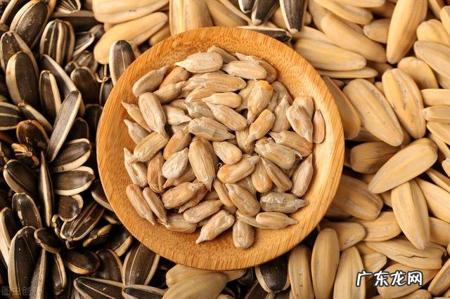 瓜子脂肪含量高,“吃瓜子=喝油”是真的吗?