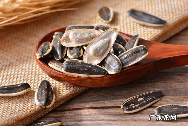 瓜子脂肪含量高,“吃瓜子=喝油”是真的吗?