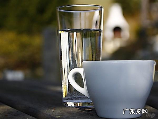 减肥最佳饮食计划 快速减肥的最佳饮食和运动计划