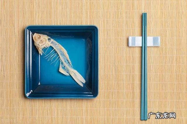 芬兰,到底是个怎样的国家,适合去打工么