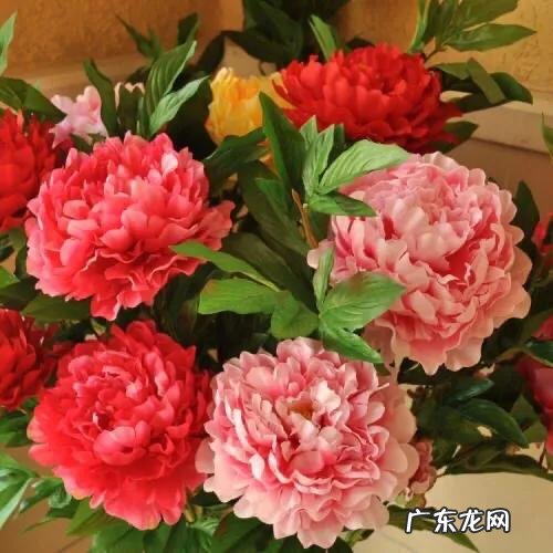 想用最少的钱过最精致的生活,有哪些技能必须学会