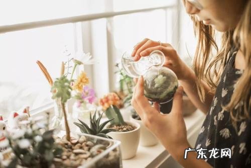 想用最少的钱过最精致的生活,有哪些技能必须学会