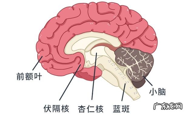 注意力不集中如何改正 注意力不集中怎么改善呢