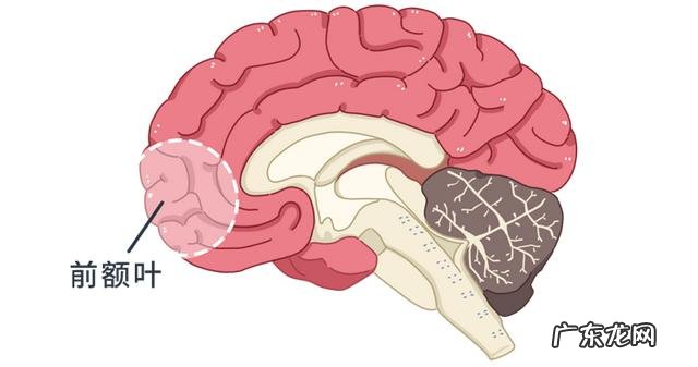 注意力不集中如何改正 注意力不集中怎么改善呢