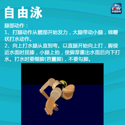 想知道游泳对于整个身材的影响？