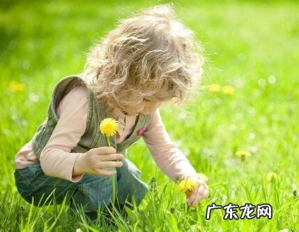 培养宝宝专注力和耐心 如何培养宝宝的注意力和耐心