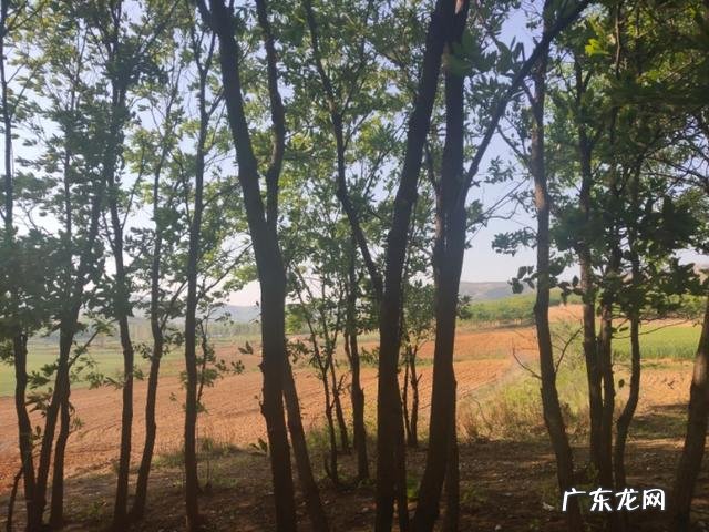 注意力能力包括三种 引导注意力的能力把握含义的能力