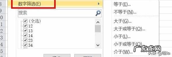 如何用excel2016筛选出所要的年龄段