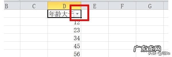 如何用excel2016筛选出所要的年龄段