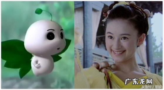 有哪些意境优美的中药名字?