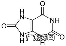 如何预防高尿酸血症的发生