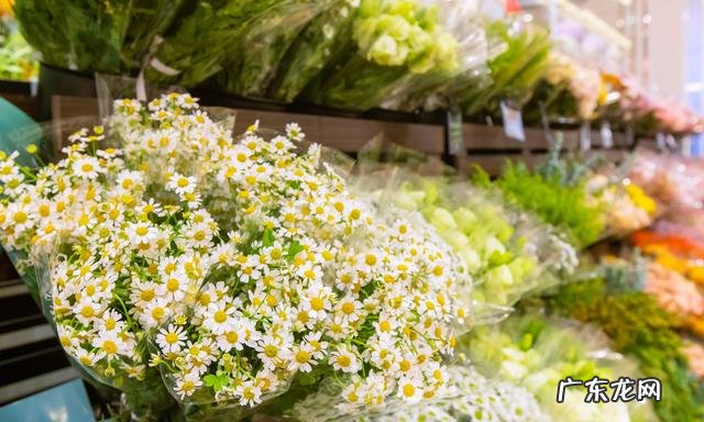 ck新款口红包 小ck新款粉红