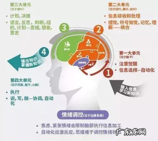 如何培养4岁多孩子的专注力 如何培养4岁孩子专注力和忍耐力