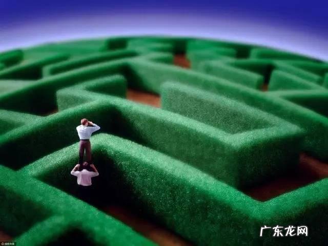 培养专注力心理学书 专注力心理学