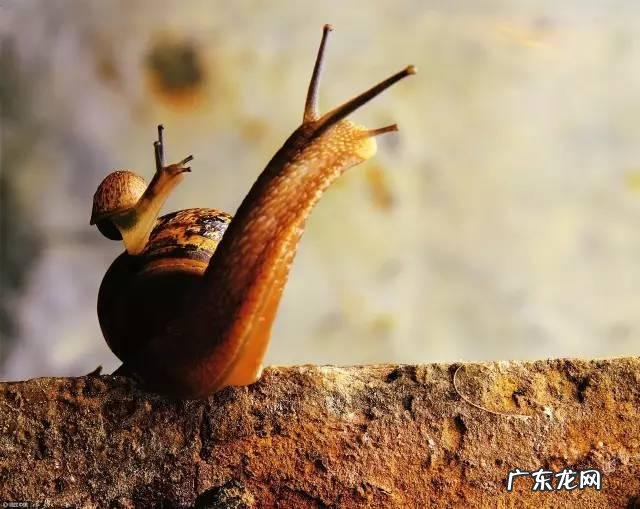 培养专注力心理学书 专注力心理学