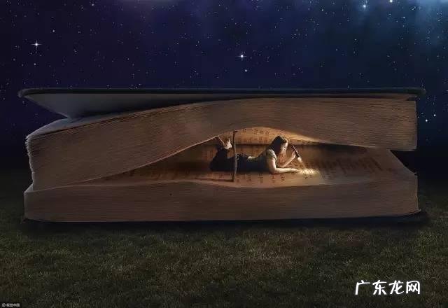 培养专注力心理学书 专注力心理学