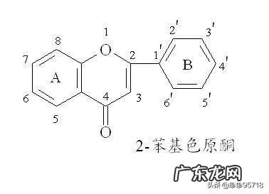 “神仙茶”有哪些功效的作用?怎样用桑叶制作“神仙茶”?