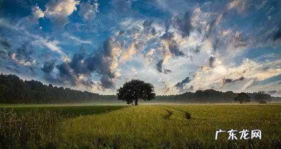 提高注意力的最佳方法 怎样提高孩子的学习注意力