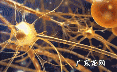 发育迟缓的孩子专注力 怎样培养发育迟缓孩子的专注力