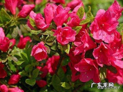 封了这么久，你有啥话说吗？ 我被封号了你还记得我吗