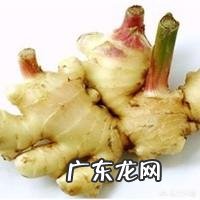 干山楂片 请问生姜能和山楂片一起泡水喝吗,为什么?