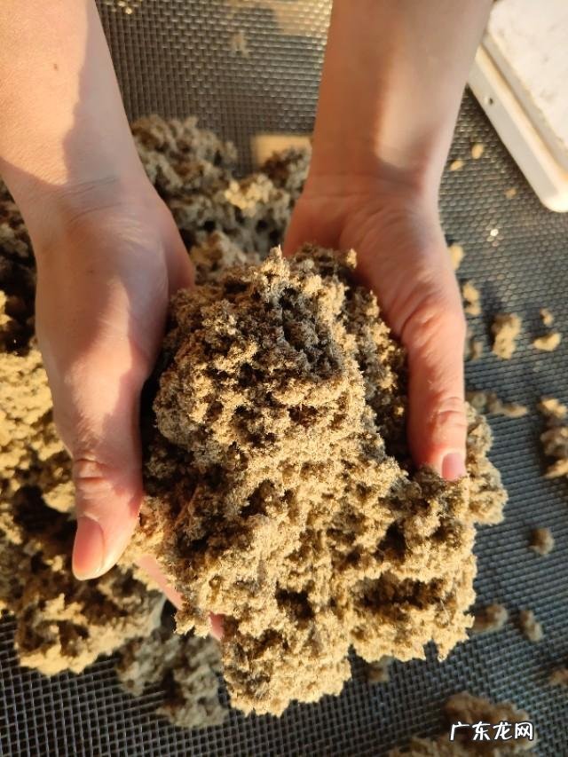 冬天把艾草放在鞋子里面对身体有好处吗?