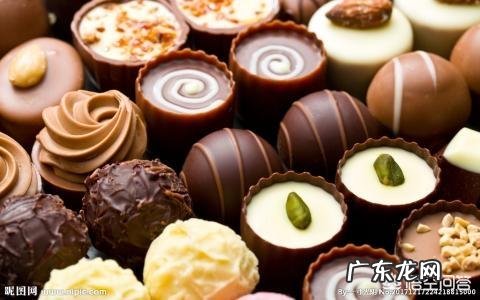 喂食狗狗的时候,应该注意什么?